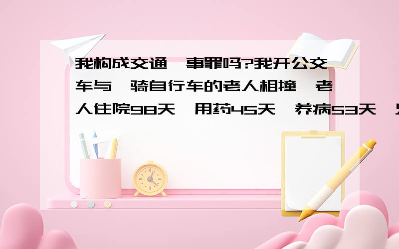 我构成交通肇事罪吗?我开公交车与一骑自行车的老人相撞,老人住院98天,用药45天,养病53天,只是治疗了胸部肋骨和身体的