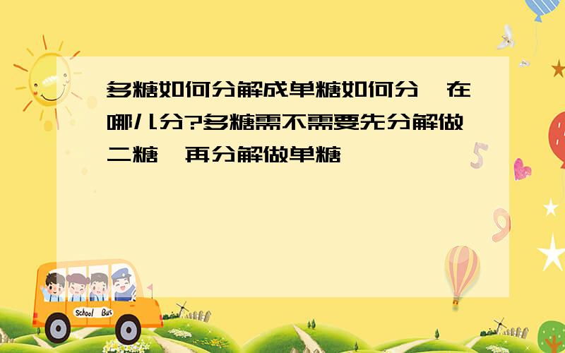 多糖如何分解成单糖如何分,在哪儿分?多糖需不需要先分解做二糖,再分解做单糖