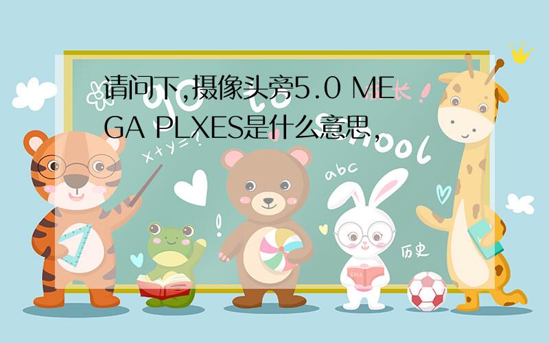 请问下,摄像头旁5.0 MEGA PLXES是什么意思,