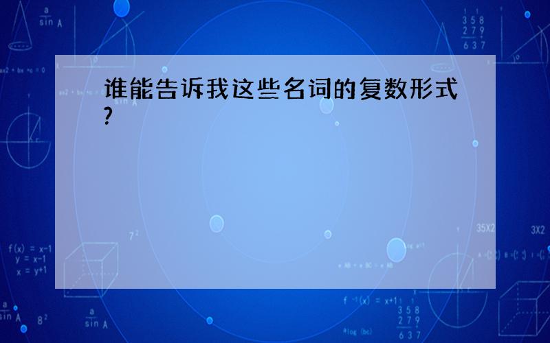 谁能告诉我这些名词的复数形式?