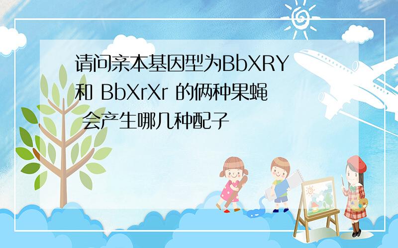 请问亲本基因型为BbXRY 和 BbXrXr 的俩种果蝇 会产生哪几种配子