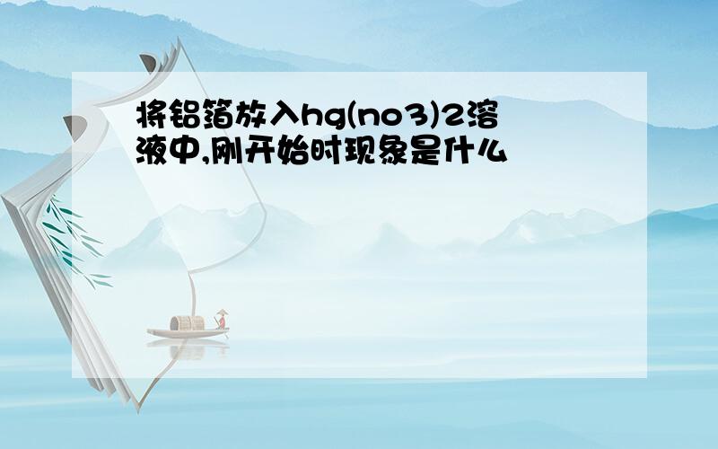 将铝箔放入hg(no3)2溶液中,刚开始时现象是什么