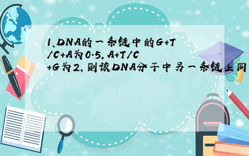 1、DNA的一条链中的G＋T／C＋A为0．5,A＋T／C＋G为2,则该DNA分子中另一条链上同样的碱基比为（ ）