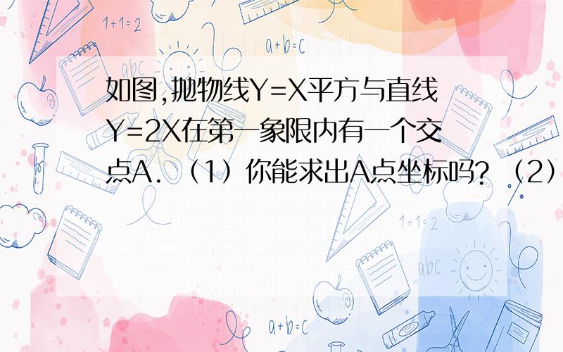 如图,抛物线Y=X平方与直线Y=2X在第一象限内有一个交点A. （1）你能求出A点坐标吗? （2）