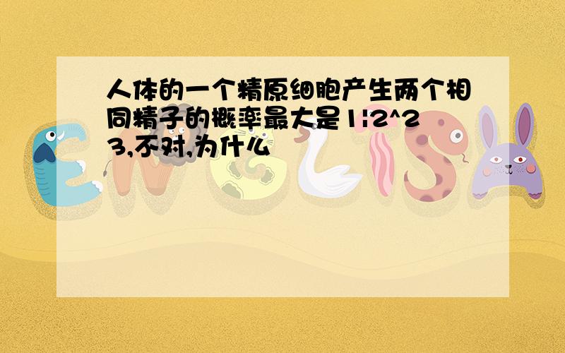 人体的一个精原细胞产生两个相同精子的概率最大是1|2^23,不对,为什么