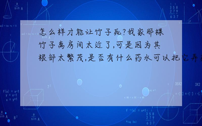 怎么样才能让竹子死?我家那棵竹子离房间太近了,可是因为其根部太繁茂,是否有什么药水可以把它弄死,有用浓硫酸泼过了,可是一