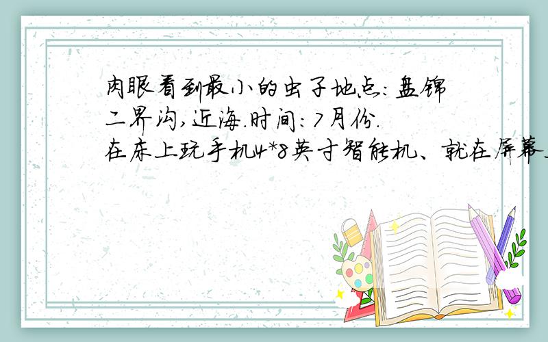 肉眼看到最小的虫子地点：盘锦二界沟,近海.时间：7月份.在床上玩手机4*8英寸智能机、就在屏幕上爬,目测十分之一毫米,不