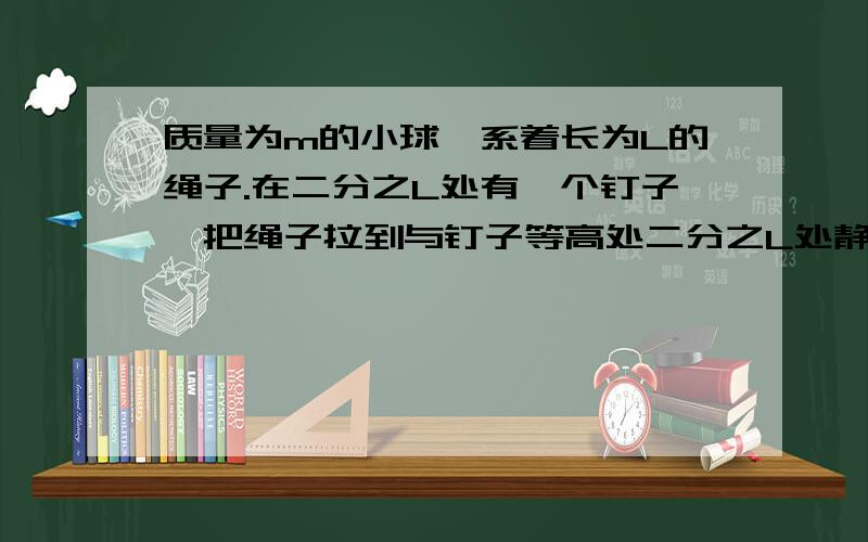 质量为m的小球,系着长为L的绳子.在二分之L处有一个钉子,把绳子拉到与钉子等高处二分之L处静止释放小球