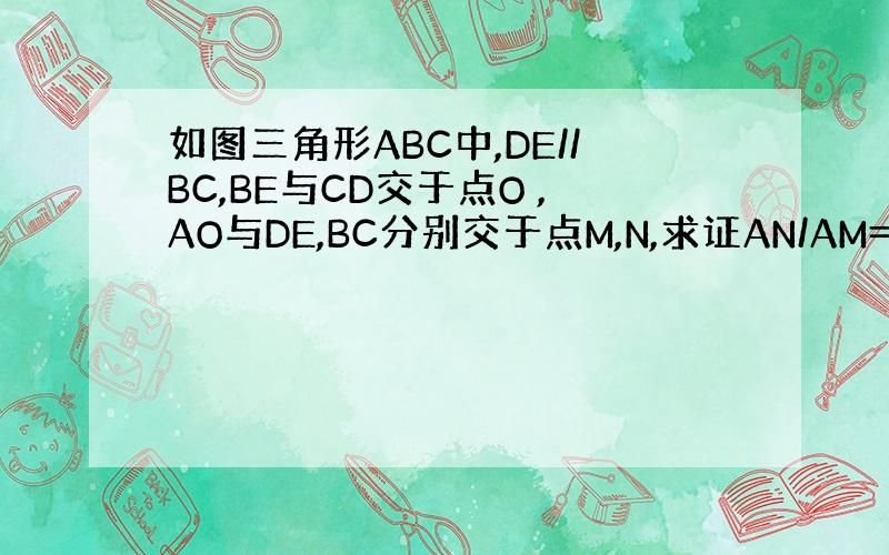 如图三角形ABC中,DE//BC,BE与CD交于点O ,AO与DE,BC分别交于点M,N,求证AN/AM=ON/OM