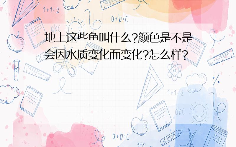 地上这些鱼叫什么?颜色是不是会因水质变化而变化?怎么样?