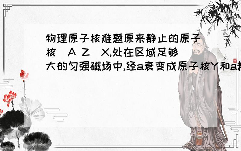 物理原子核难题原来静止的原子核(A Z)X,处在区域足够大的匀强磁场中,经a衰变成原子核Y和a粒子,已测得a粒子的速度垂