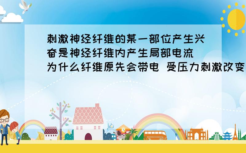 刺激神经纤维的某一部位产生兴奋是神经纤维内产生局部电流 为什么纤维原先会带电 受压力刺激改变电位