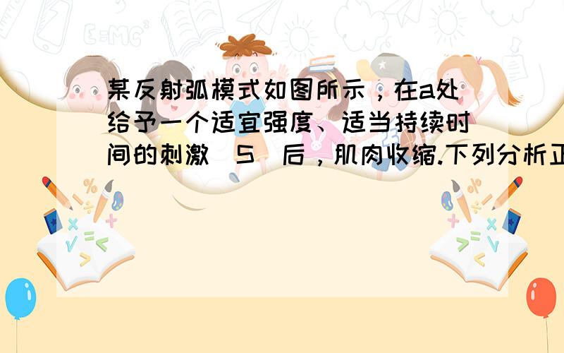 某反射弧模式如图所示，在a处给予一个适宜强度、适当持续时间的刺激（S）后，肌肉收缩.下列分析正确的是（　　）