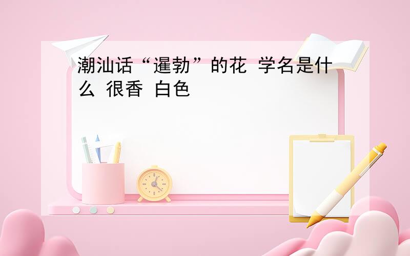 潮汕话“暹勃”的花 学名是什么 很香 白色