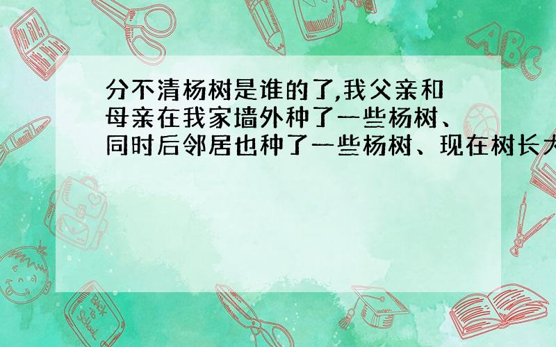 分不清杨树是谁的了,我父亲和母亲在我家墙外种了一些杨树、同时后邻居也种了一些杨树、现在树长大了、父亲去世了后邻居说那树是