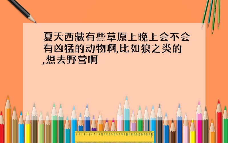 夏天西藏有些草原上晚上会不会有凶猛的动物啊,比如狼之类的,想去野营啊