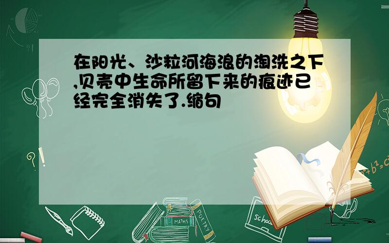 在阳光、沙粒河海浪的淘洗之下,贝壳中生命所留下来的痕迹已经完全消失了.缩句