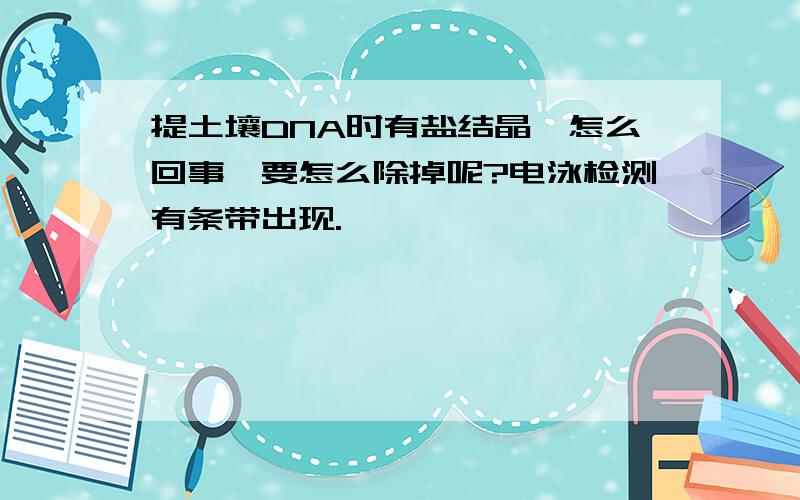 提土壤DNA时有盐结晶,怎么回事,要怎么除掉呢?电泳检测有条带出现.