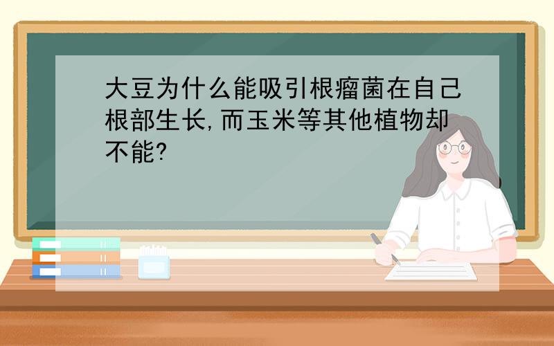 大豆为什么能吸引根瘤菌在自己根部生长,而玉米等其他植物却不能?