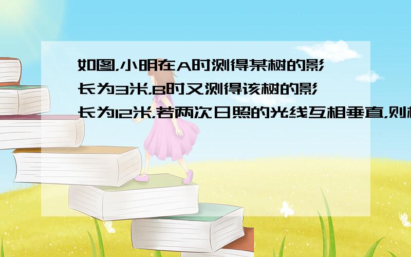 如图，小明在A时测得某树的影长为3米，B时又测得该树的影长为12米，若两次日照的光线互相垂直，则树的高度为______米