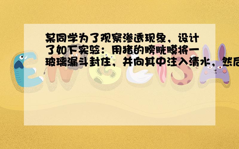 某同学为了观察渗透现象，设计了如下实验：用猪的膀胱膜将一玻璃漏斗封住，并向其中注入清水，然后将其浸在盛有10%的蔗糖溶液