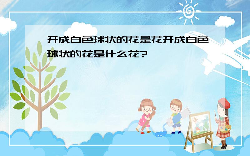 开成白色球状的花是花开成白色球状的花是什么花?