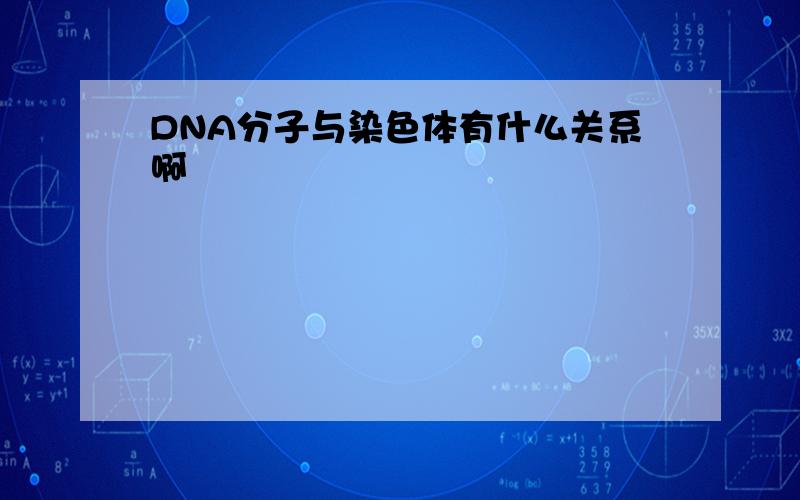 DNA分子与染色体有什么关系啊