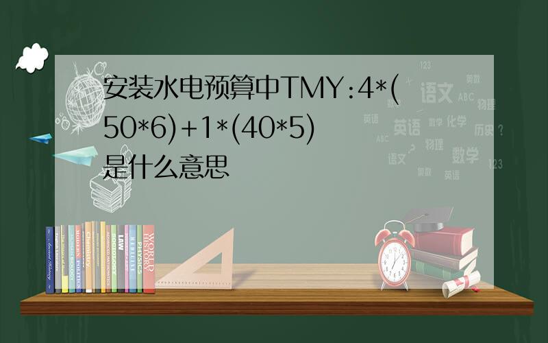 安装水电预算中TMY:4*(50*6)+1*(40*5)是什么意思