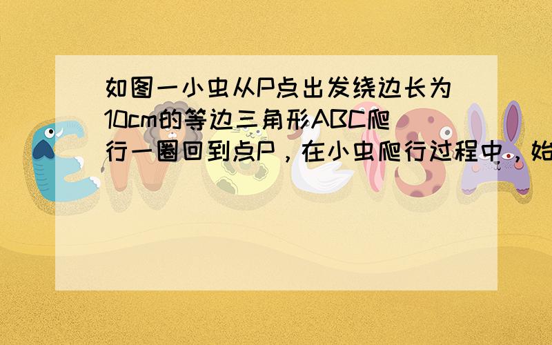 如图一小虫从P点出发绕边长为10cm的等边三角形ABC爬行一圈回到点P，在小虫爬行过程中，始终保持与三角形ABC的边的距