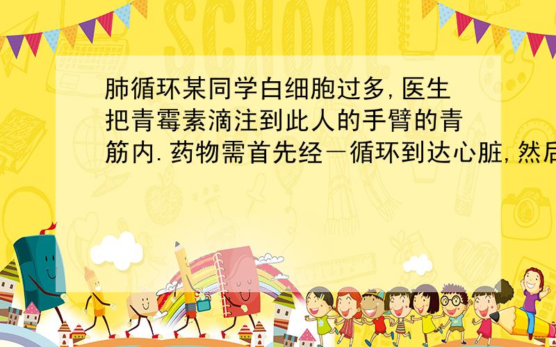 肺循环某同学白细胞过多,医生把青霉素滴注到此人的手臂的青筋内.药物需首先经－循环到达心脏,然后经－循环经动脉才能到达患处