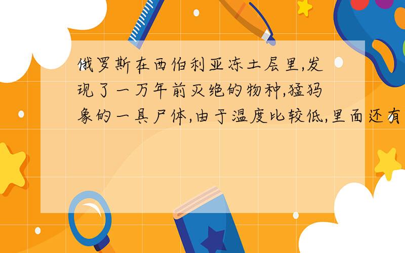 俄罗斯在西伯利亚冻土层里,发现了一万年前灭绝的物种,猛犸象的一具尸体,由于温度比较低,里面还有流动的血液,从这里就可以提