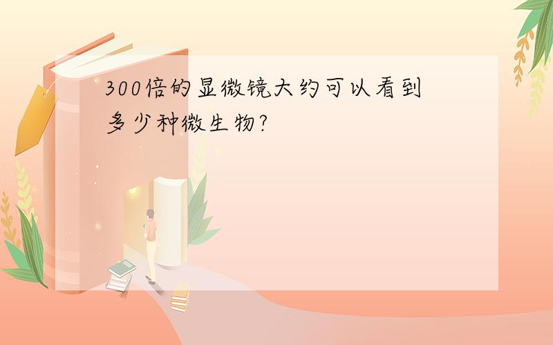 300倍的显微镜大约可以看到多少种微生物?