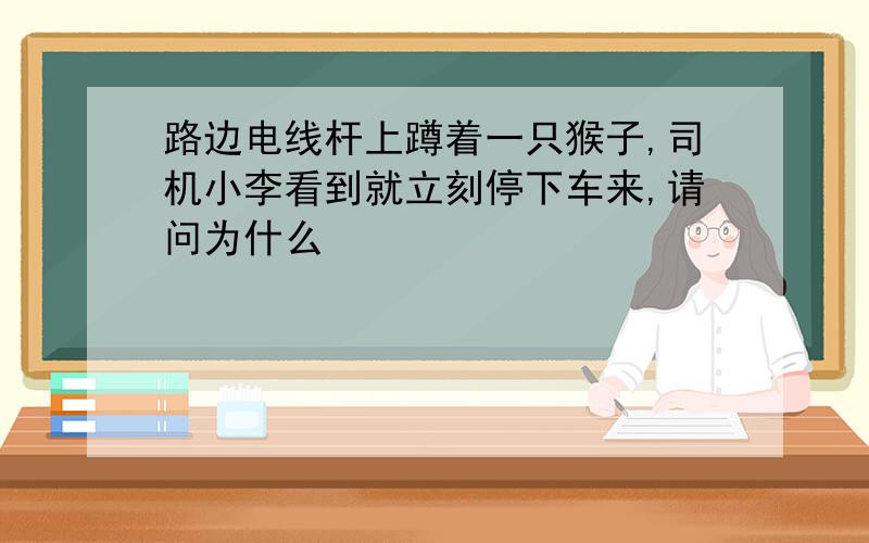 路边电线杆上蹲着一只猴子,司机小李看到就立刻停下车来,请问为什么