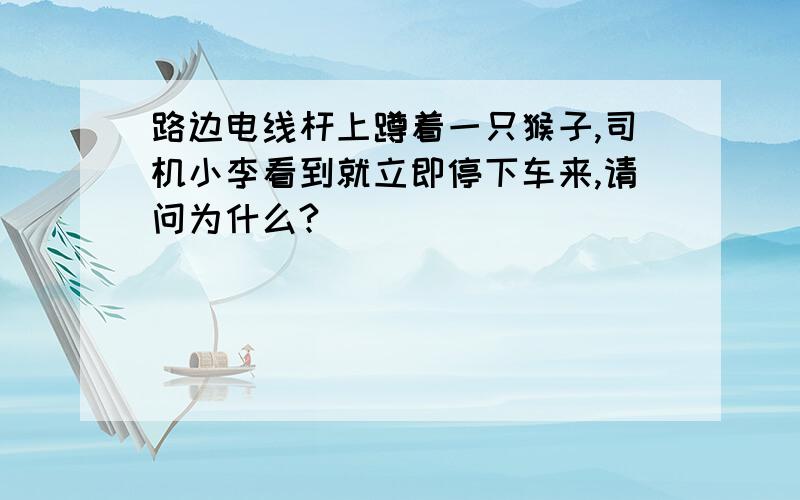 路边电线杆上蹲着一只猴子,司机小李看到就立即停下车来,请问为什么?