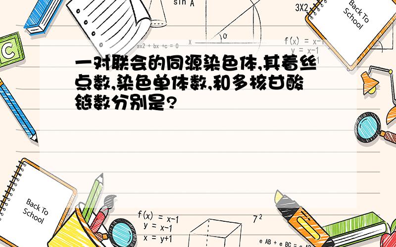 一对联会的同源染色体,其着丝点数,染色单体数,和多核甘酸链数分别是?