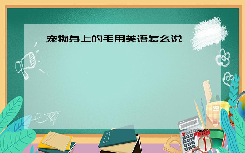 宠物身上的毛用英语怎么说