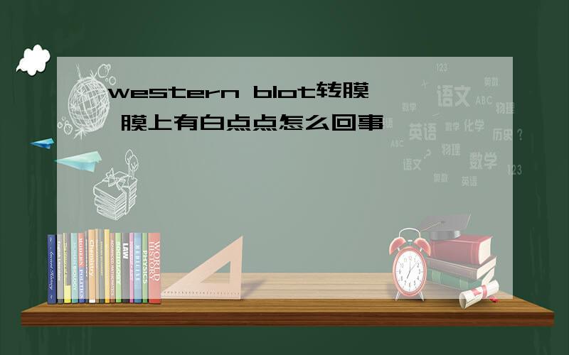 western blot转膜 膜上有白点点怎么回事