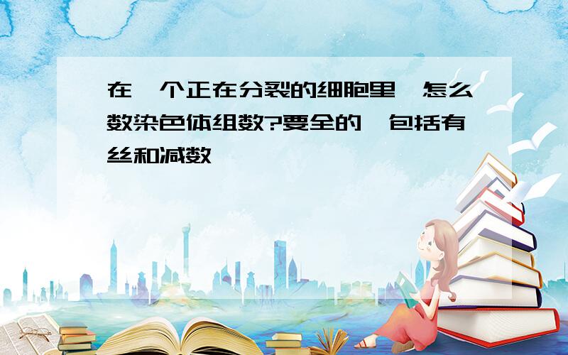 在一个正在分裂的细胞里,怎么数染色体组数?要全的,包括有丝和减数