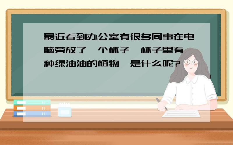 最近看到办公室有很多同事在电脑旁放了一个杯子,杯子里有一种绿油油的植物,是什么呢?