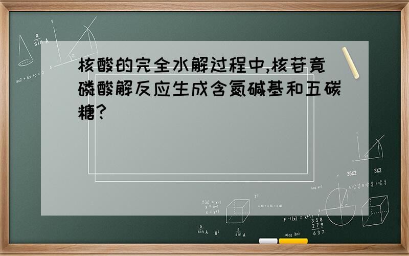 核酸的完全水解过程中,核苷竟磷酸解反应生成含氮碱基和五碳糖?