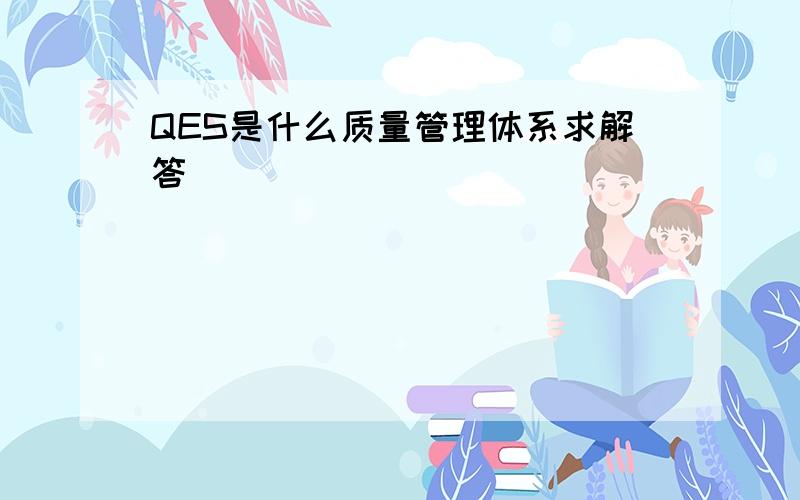 QES是什么质量管理体系求解答