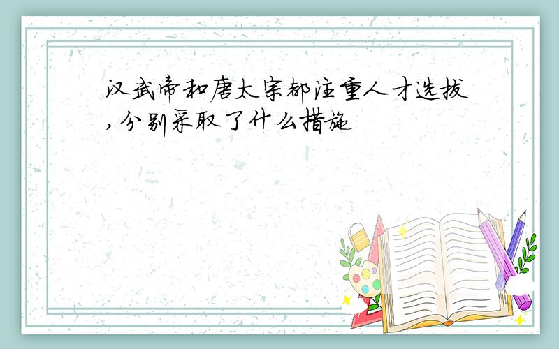 汉武帝和唐太宗都注重人才选拔,分别采取了什么措施