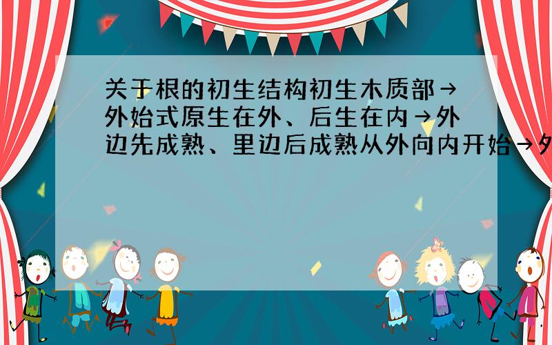 关于根的初生结构初生木质部→外始式原生在外、后生在内→外边先成熟、里边后成熟从外向内开始→外边先成熟、里边后成熟→这显然