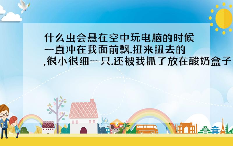 什么虫会悬在空中玩电脑的时候一直冲在我面前飘.扭来扭去的,很小很细一只.还被我抓了放在酸奶盒子里. 很好奇是什么虫,怎么