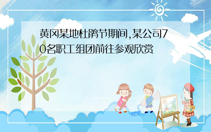 黄冈某地杜鹃节期间,某公司70名职工组团前往参观欣赏