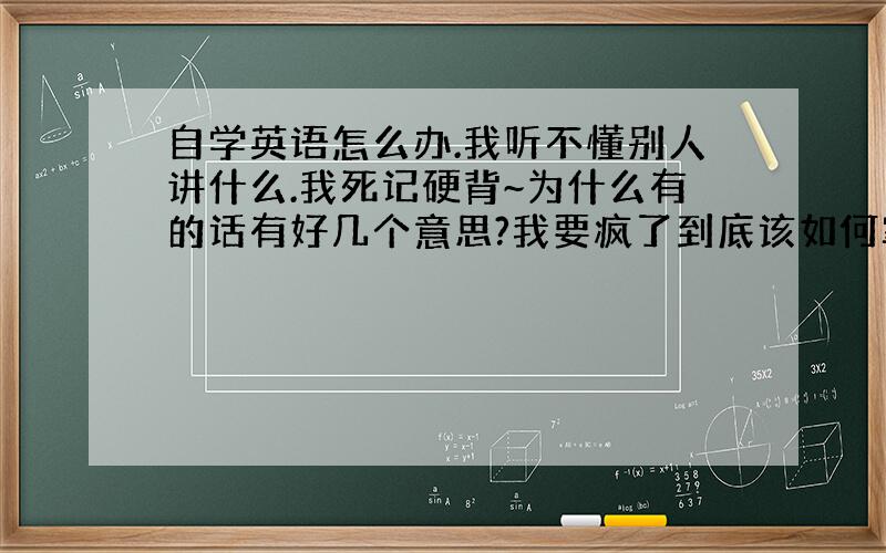 自学英语怎么办.我听不懂别人讲什么.我死记硬背~为什么有的话有好几个意思?我要疯了到底该如何掌握运用句型?为什么翻译网和