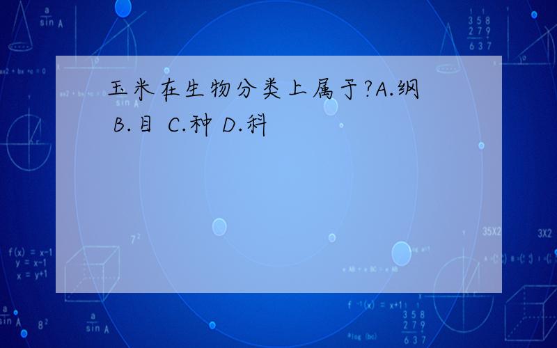 玉米在生物分类上属于?A.纲 B.目 C.种 D.科