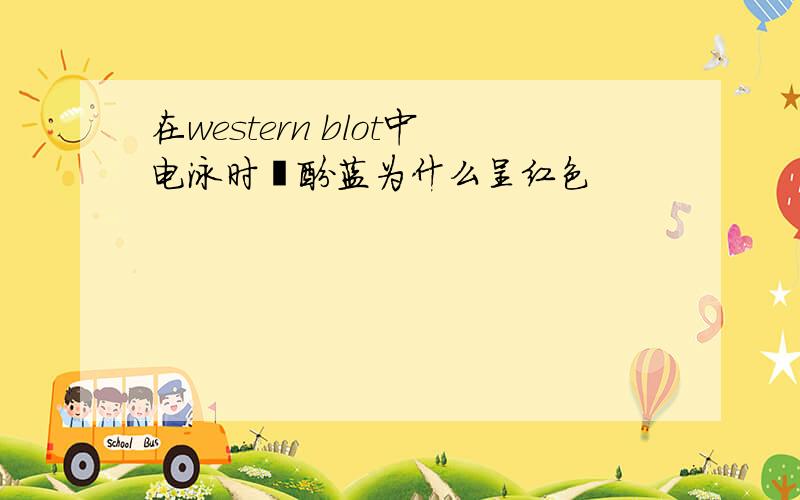 在western blot中电泳时溴酚蓝为什么呈红色