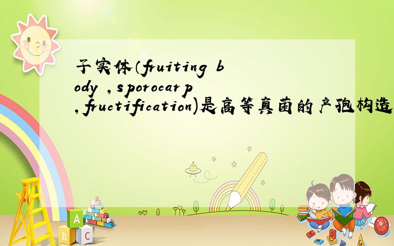 子实体（fruiting body ,sporocarp,fructification)是高等真菌的产孢构造,即果实体,