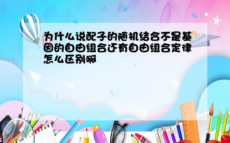 为什么说配子的随机结合不是基因的自由组合还有自由组合定律怎么区别啊